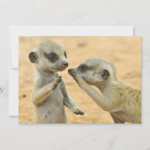 Carte De Remerciements Animaux de bébés cutest   Deux jeunes Meerkats