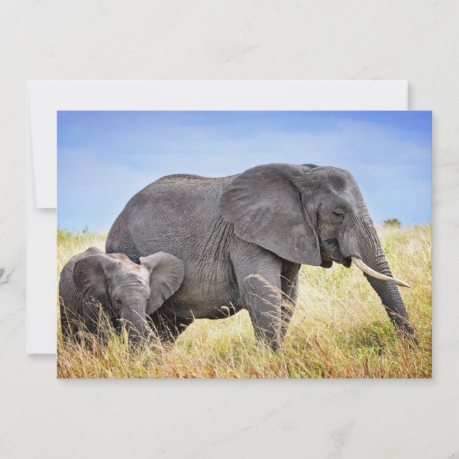 Carte De Remerciements Animaux de bébés cutest | Eléphant africain et mèr (Devant)