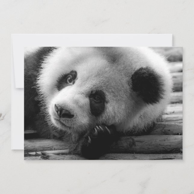 Carte De Remerciements Animaux de bébés cutest | Giant Panda Bear Cub (Devant)