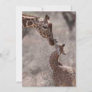 Carte De Remerciements Animaux de bébés cutest Giraffe mère et bébé