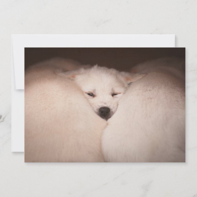 Carte De Remerciements Animaux de bébés cutest | Golden Retriever Snuggle (Devant)