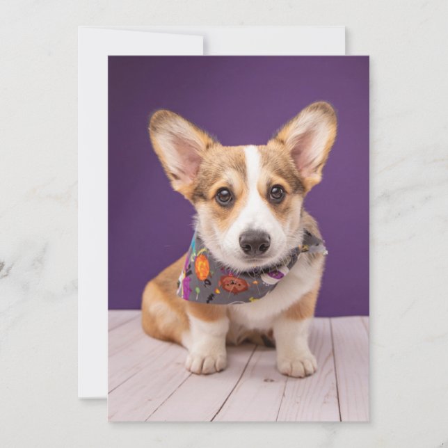 Carte De Remerciements Animaux de bébés cutest | Halloween Corgi (Devant)