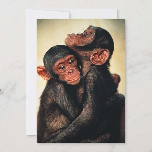 Carte De Remerciements Animaux de bébés cutest | Hug de chimpanzé (Devant)
