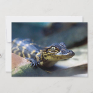 Carte De Remerciements Animaux de bébés cutest   Jeune alligator