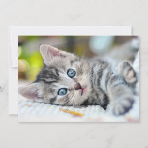 Carte De Remerciements Animaux de bébés cutest   Kitten aux yeux bleus