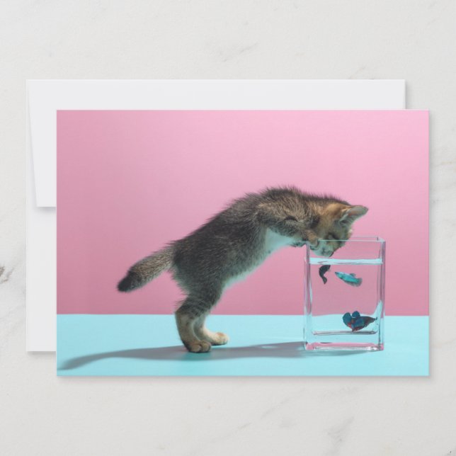 Carte De Remerciements Animaux de bébés cutest | Kitten En regardant le b (Devant)