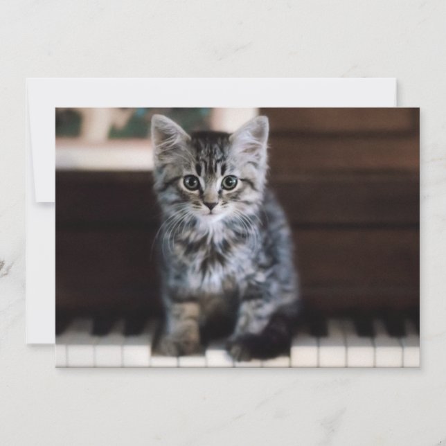 Carte De Remerciements Animaux de bébés cutest | Kitten sur Touches de pi (Devant)