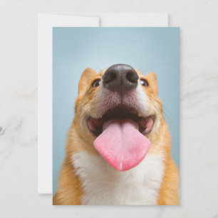 Carte De Remerciements Animaux de bébés cutest Langue de Corgi