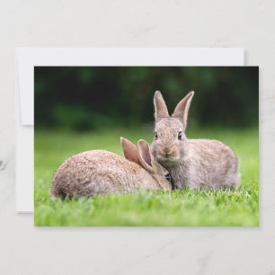 Carte De Remerciements Animaux de bébés cutest Lapins de lapin sauvage