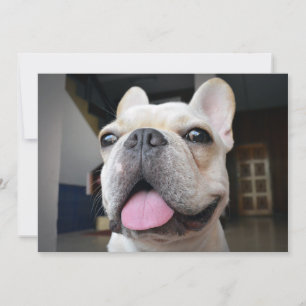 Carte De Remerciements Animaux de bébés cutest Le visage de Bulldog