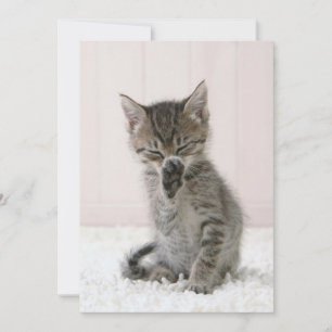Carte De Remerciements Animaux de bébés cutest   Licking Tabby Kitten