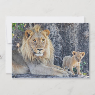Carte De Remerciements Animaux de bébés cutest   Lion Dad & Cub