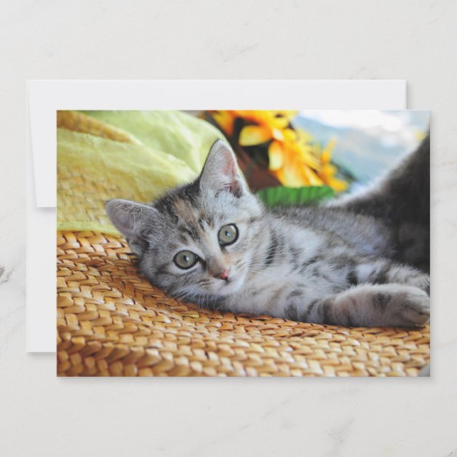 Carte De Remerciements Animaux de bébés cutest | Lounge Kitten (Devant)