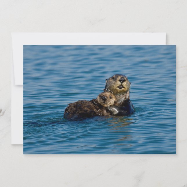 Carte De Remerciements Animaux de bébés cutest | Mère & Bébé Sea Otter (Devant)