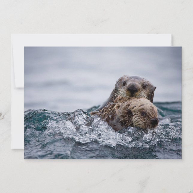 Carte De Remerciements Animaux de bébés cutest | Otter Baby & Mère (Devant)