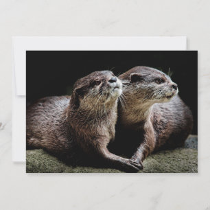Carte De Remerciements Animaux de bébés cutest   Otters tenant les mains