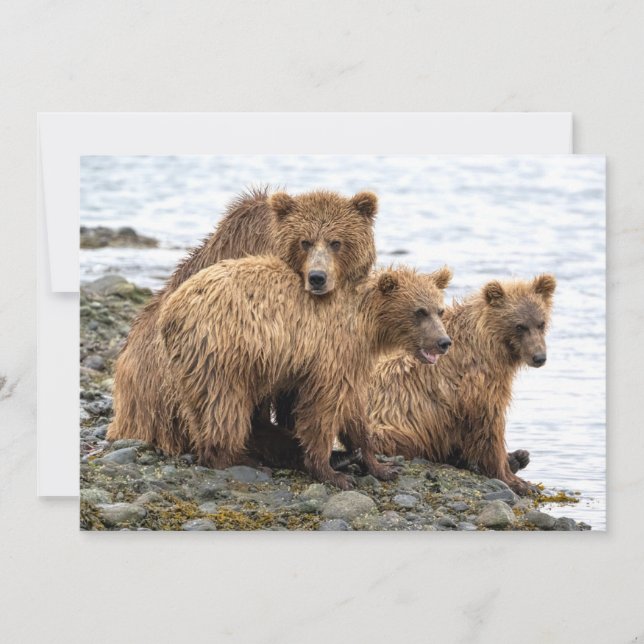 Carte De Remerciements Animaux de bébés cutest | Ours et oursons (Devant)