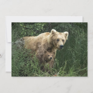 Carte De Remerciements Animaux de bébés cutest   Ours Mama Ours et ses pe