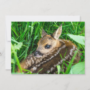 Carte De Remerciements Animaux de bébés cutest Roe Deer Baby
