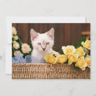 Carte De Remerciements Animaux de bébés cutest Roses chats et jaunes