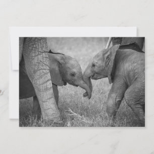 Carte De Remerciements Animaux de bébés cutest   Salutation des éléphants