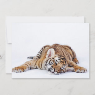 Carte De Remerciements Animaux de bébés cutest Sleepy Baby Tiger Cub