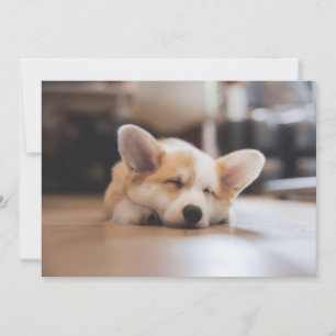 Carte De Remerciements Animaux de bébés cutest   Sleepy Corgi