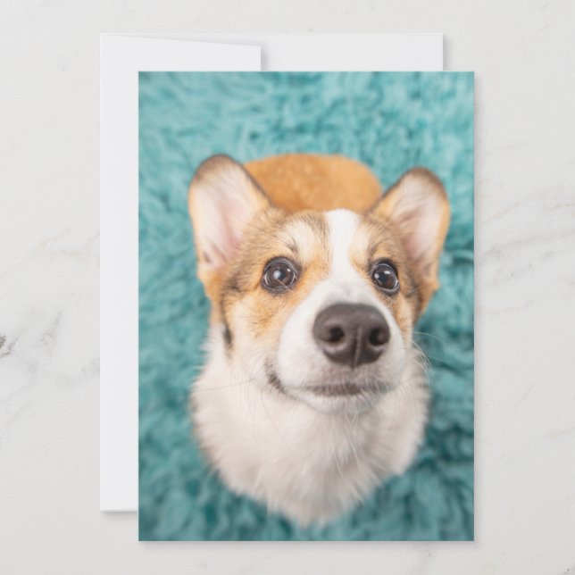 Carte De Remerciements Animaux de bébés cutest | Sweet Corgi Puppy Face (Devant)