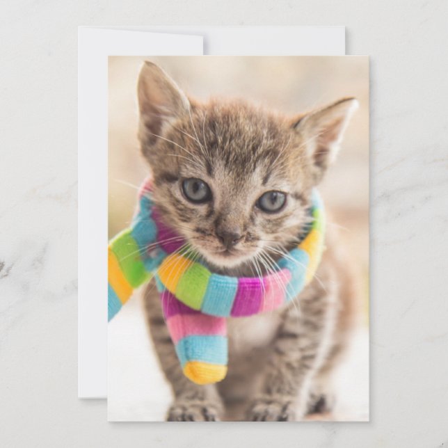 Carte De Remerciements Animaux de bébés cutest | Tabby Kitten Écharpe arc (Devant)