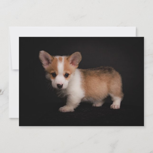 Carte De Remerciements Animaux de bébés cutest | Tiny Corgi (Devant)