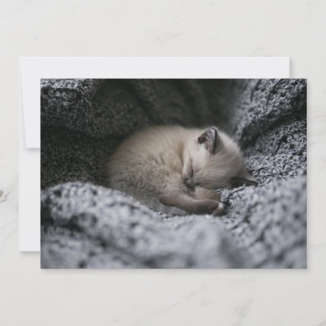 Carte De Remerciements Animaux de bébés cutest | Tiny Kitten Dormir (Devant)