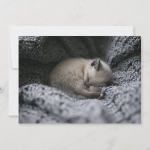 Carte De Remerciements Animaux de bébés cutest Tiny Kitten Dormir