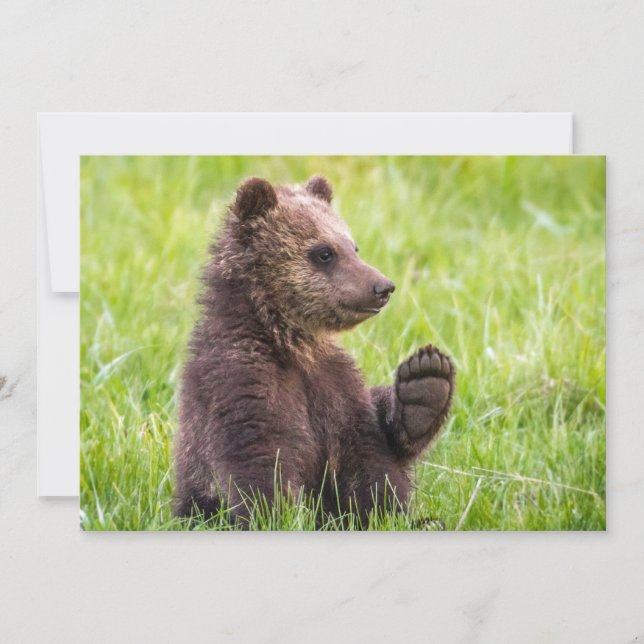 Carte De Remerciements Animaux de bébés cutest | Vague d'ours Brown (Devant)