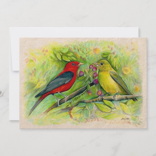Carte De Remerciements Aquarelle Pecil Art Pecil couleur Scarlet Tanagers (Devant)