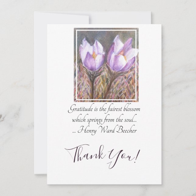 Carte De Remerciements Aquarelle Ressort Crocus pourpre (Devant)