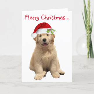 Carte De Remerciements Archie Christmas Puppy