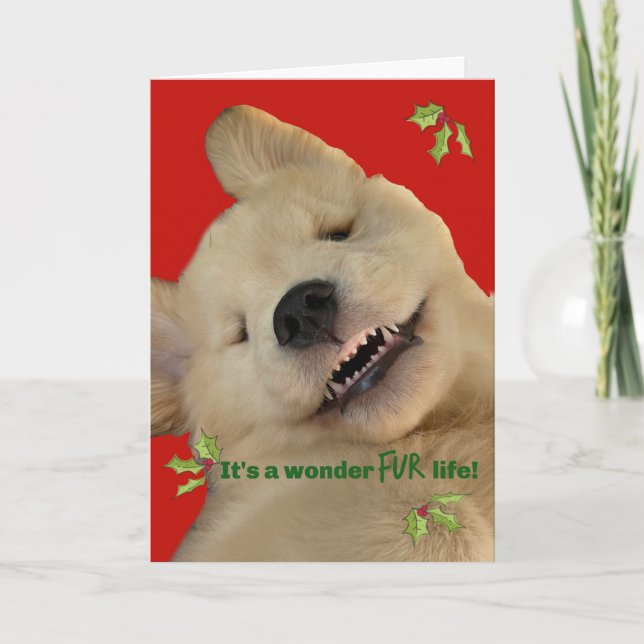 Carte De Remerciements Archie Christmas Smile (Devant)
