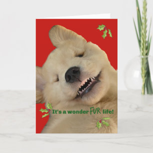 Carte De Remerciements Archie Christmas Smile