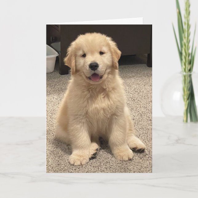 Carte De Remerciements Archie's Adventures Birthday Card (Devant)