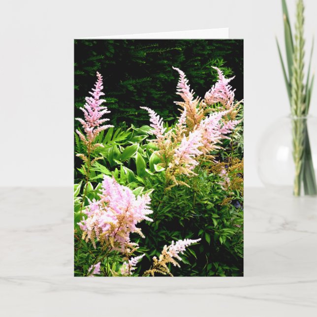 Carte De Remerciements Astilbe (Devant)