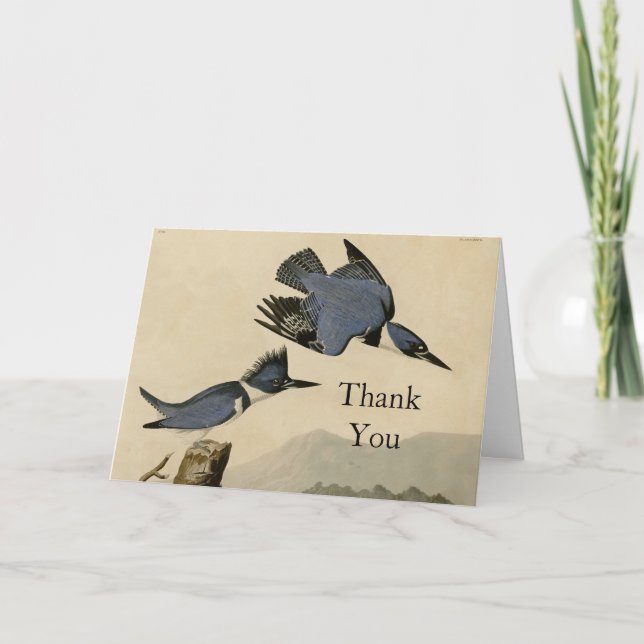 Carte De Remerciements Audubon Belted Kingfisher Wildlife Bird (Devant)