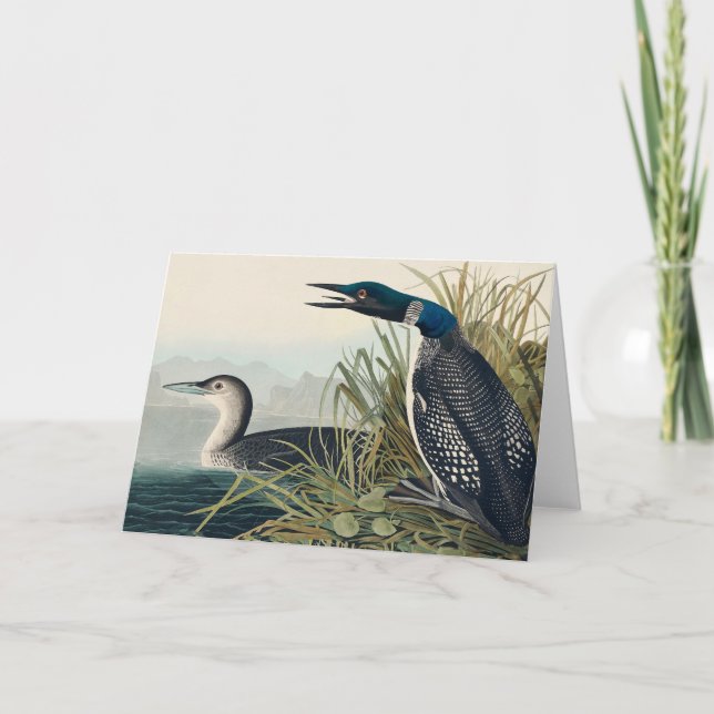 Carte De Remerciements Audubon Bird Loon Diver Classic (Devant)