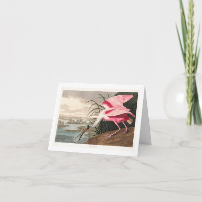 Carte De Remerciements Audubon Birds of America (Devant)