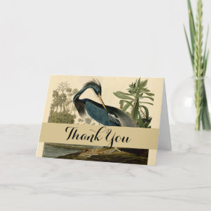 Carte De Remerciements Audubon Héron de Louisiane Oiseaux Amérique Art
