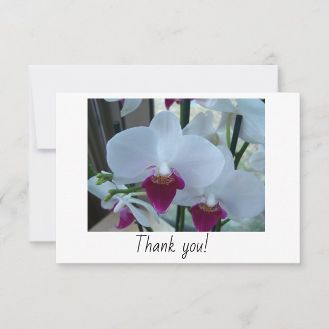 Carte de remerciements avec orchidées blanches et  (Devant)