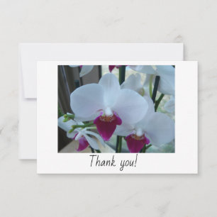 Carte de remerciements avec orchidées blanches et
