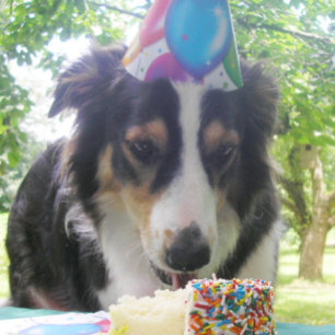 Carte De Remerciements "Avoir ton gâteau et le manger aussi !"