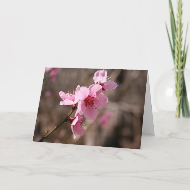 Carte De Remerciements Azalée de floraison (Devant)