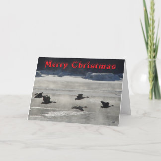 Carte De Remerciements B47 Canada Geese Over Frozen River Christmas Card
