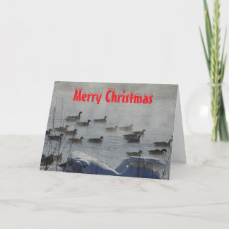 Carte De Remerciements B 49 Canada Geese on Foggy River Christmas Card